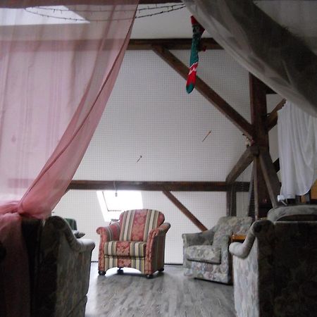 Cuibul Salamandrelor Hotell Sarmizegetusa Exteriör bild