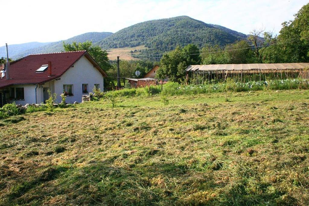 Cuibul Salamandrelor Hotell Sarmizegetusa Exteriör bild
