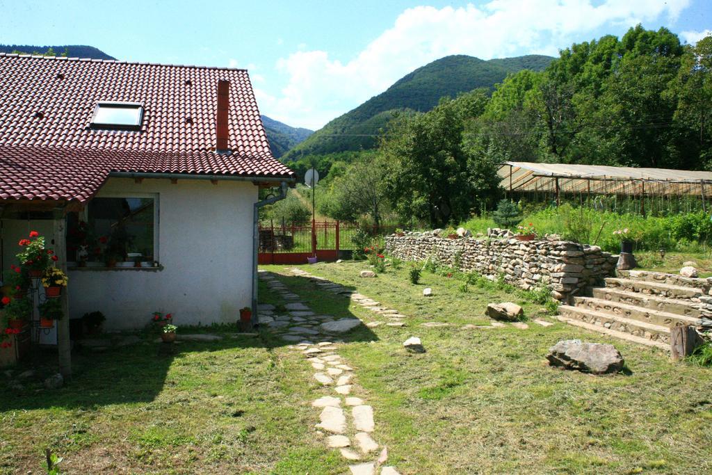 Cuibul Salamandrelor Hotell Sarmizegetusa Exteriör bild