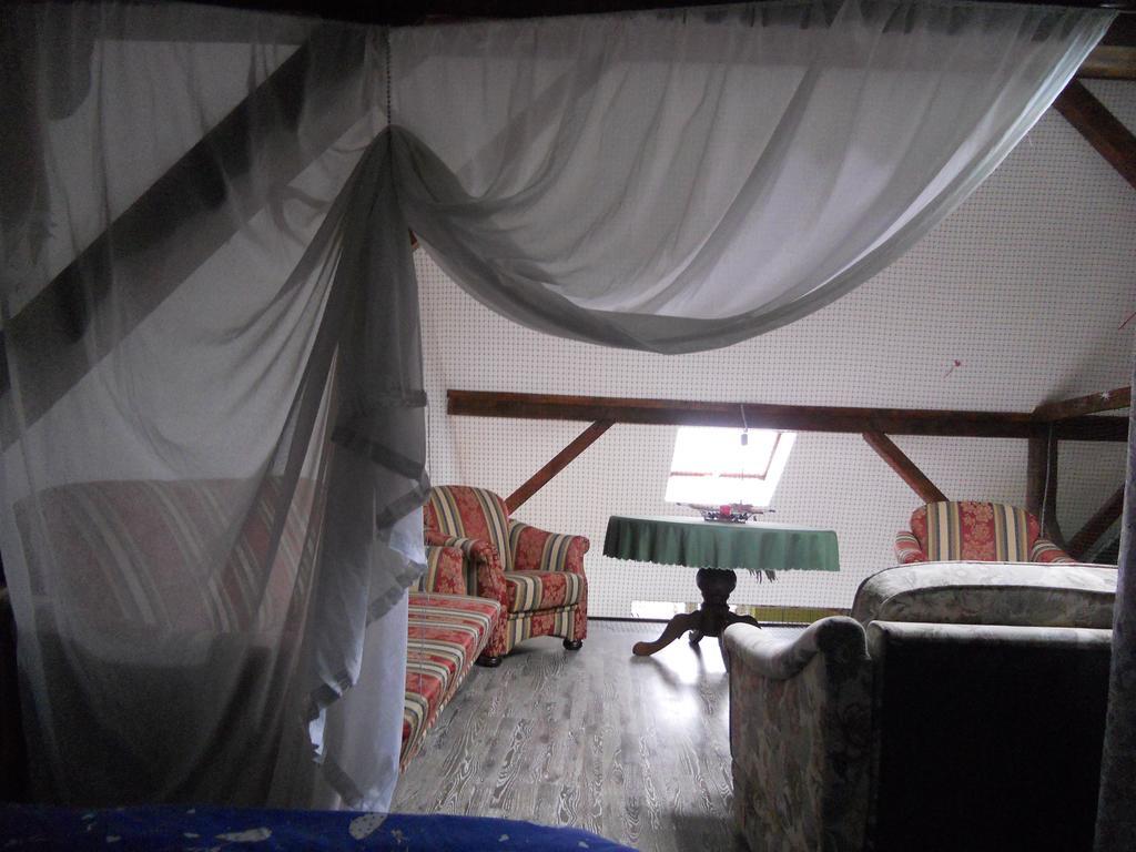 Cuibul Salamandrelor Hotell Sarmizegetusa Exteriör bild