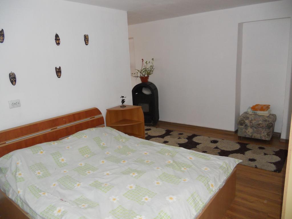 Cuibul Salamandrelor Hotell Sarmizegetusa Exteriör bild
