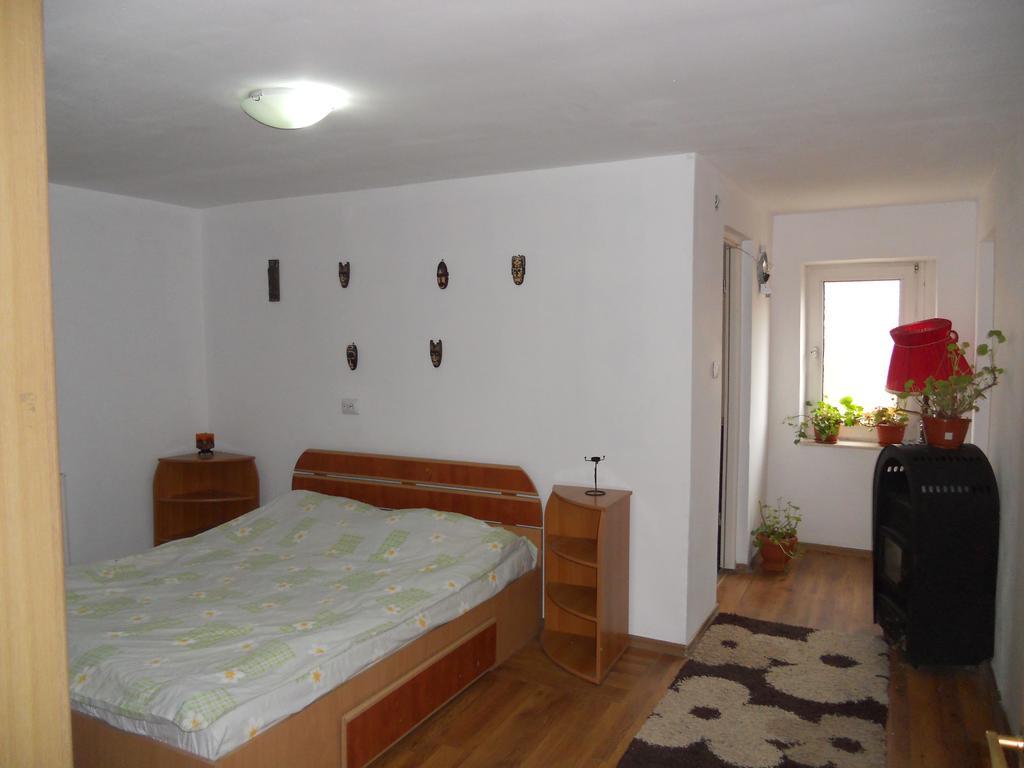 Cuibul Salamandrelor Hotell Sarmizegetusa Exteriör bild