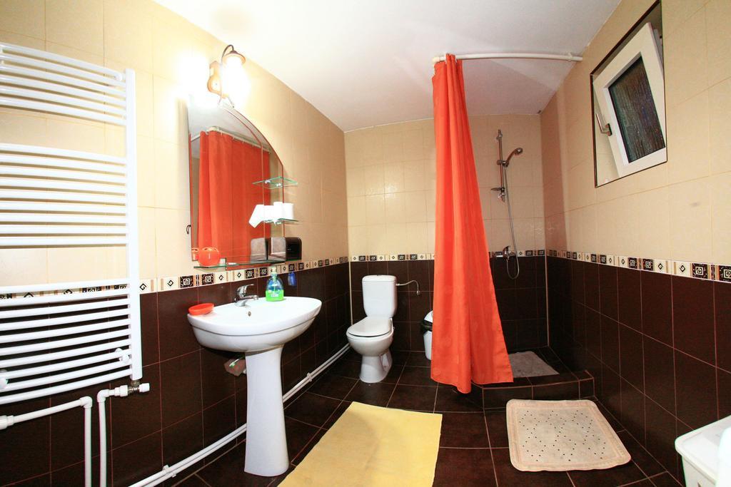 Cuibul Salamandrelor Hotell Sarmizegetusa Rum bild