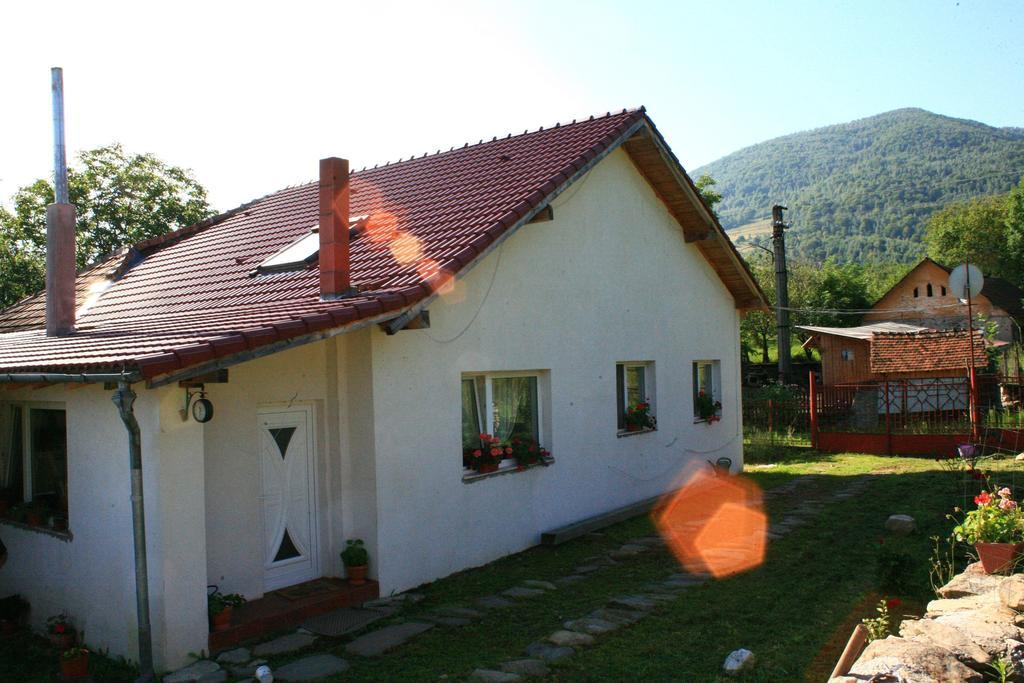 Cuibul Salamandrelor Hotell Sarmizegetusa Exteriör bild